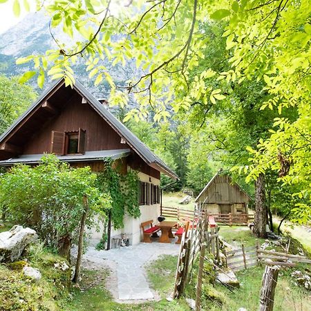 Alpine House Antonia Vila Trenta Exterior foto