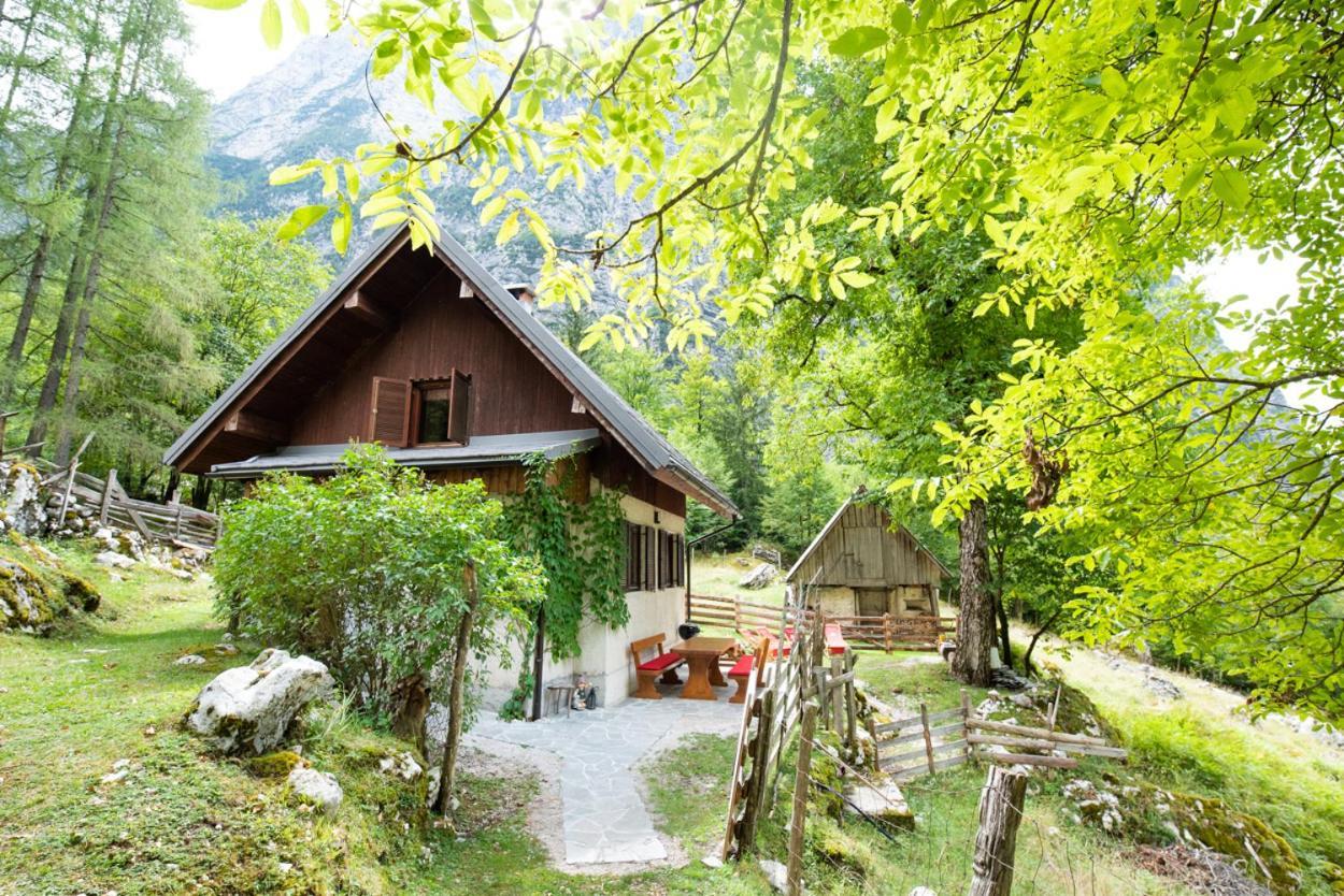 Alpine House Antonia Vila Trenta Exterior foto