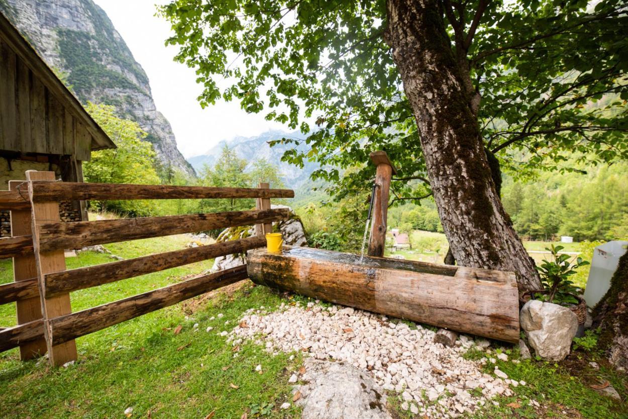 Alpine House Antonia Vila Trenta Exterior foto
